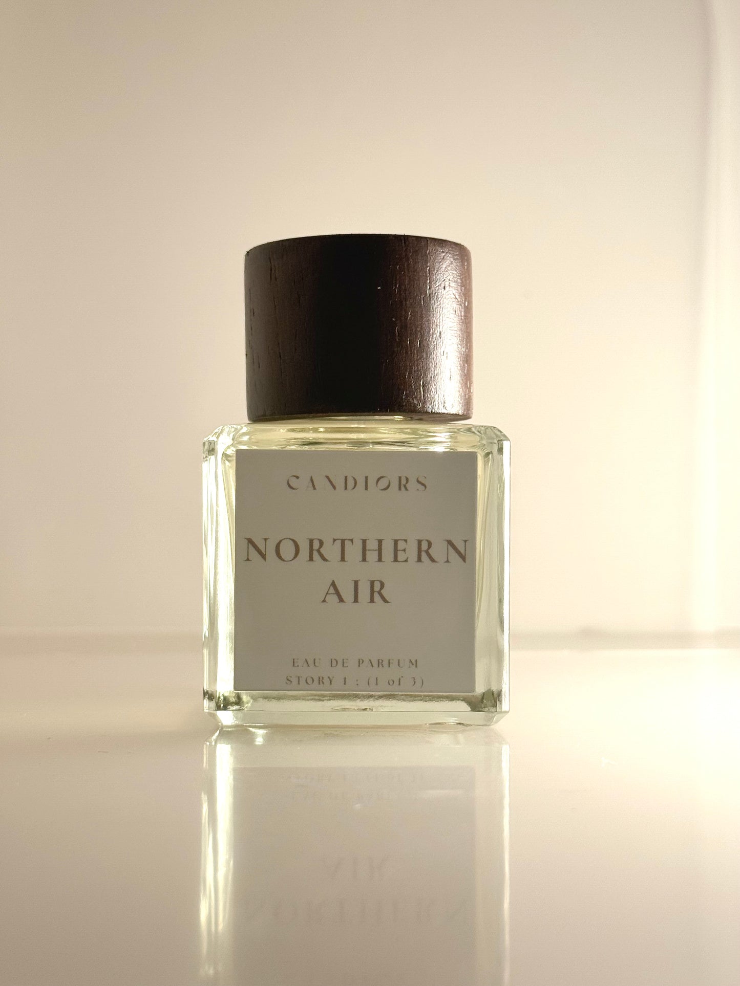 Northern Air