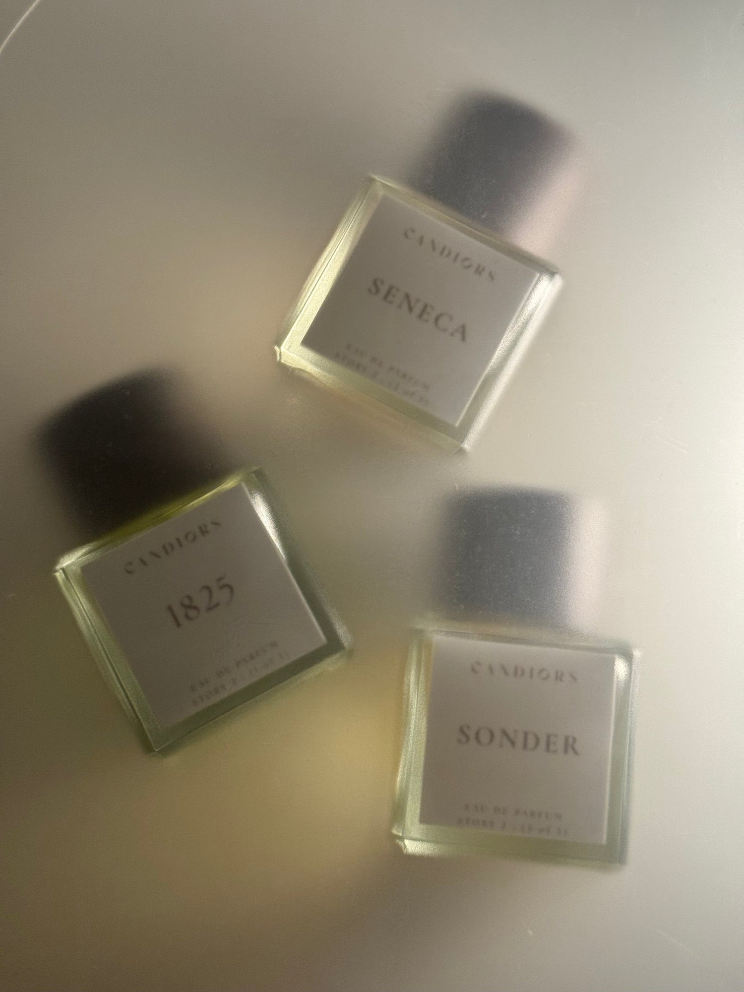 STORY 2 - The Echoes Of Seneca